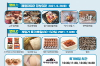 대한민국 동행세일 이벤트 안내